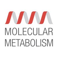 molecular_metabolism_logo.jpeg